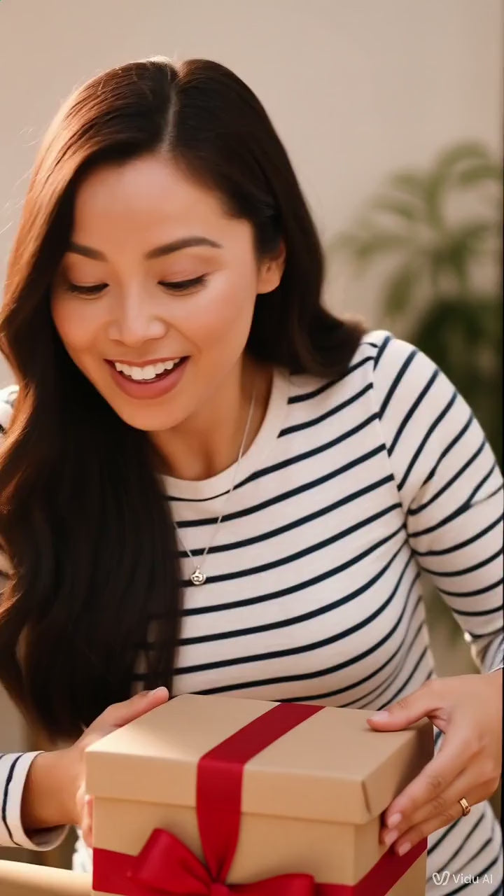 Charger la vidéo : 